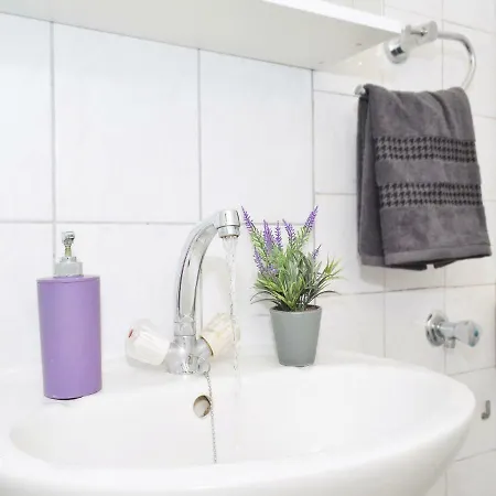 T&m Apartament